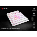 Mechanical Keyboard Phen SAVIO