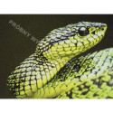 Mouse pad printable white 220x180