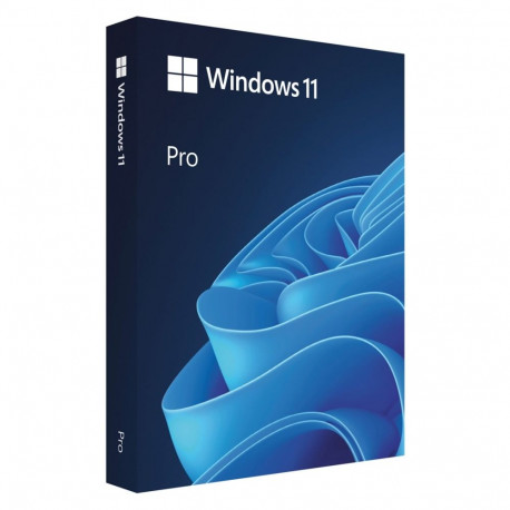 Operating System - Microsoft Windows 11 Professional USB PL