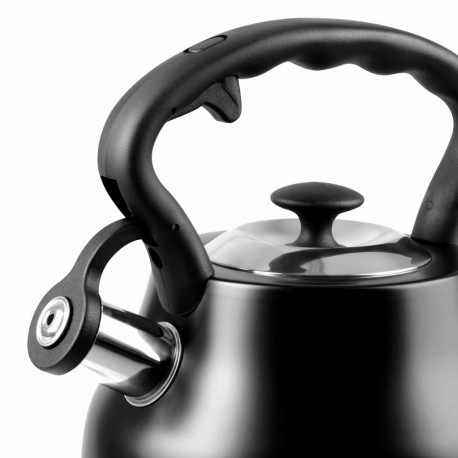 Electric Kettle - PROMIS 3L Stainless Steel Whistling, Matte Black