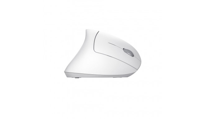 Computer Mouse - Trust Verto Vertical Ergonomic Wireless Mouse 25132 - White