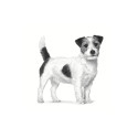 Gastrointestinal Dog Food - Royal Canin VHN Low Fat Small Breed 1.5kg