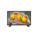Smart TV - LIN 24LHDD06 HD Ready 24" 1366x768 Black