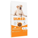 Dog Food - Iams Adult Large Breed 12kg