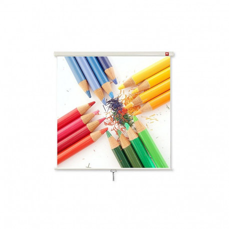 Projection Screen - Avtek Wall Standard 175 1:1
