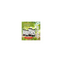 Dry dog ​​food - BIOFEED Euphoria Gluten Free With Lamb 2kg Junior