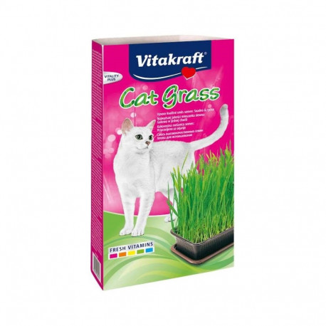 Cat Treats - Vitakraft Cat Grass Set 120 g