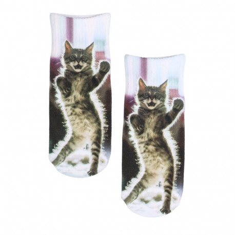 SOKISAHTEL PRINT kasside pildiga prinditus sokid lastele