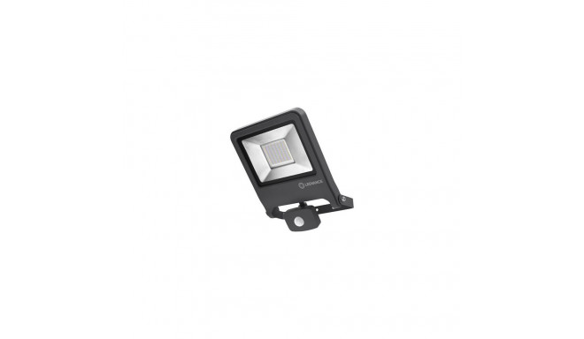 LEDVANCE ENDURA FLOOD Graphite 50 W LED F