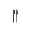 Gembird CC-DP2-10M DisplayPort cable Black