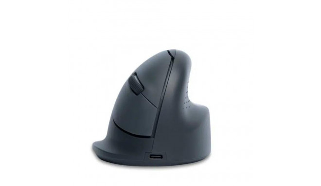 MOUSE USB OPTICAL WRL BASIC/R. GREY RGOHEBAMRWL R-GO TOOLS