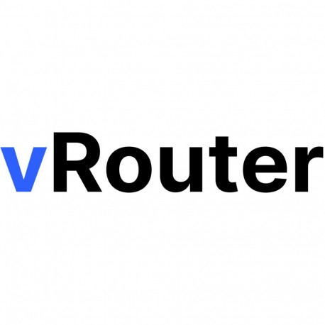 "LANCOM vRouter unlimited (1000 VPN, 256 ARF, 1 Jahr)"
