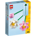 "LEGO Botanical Collection Lotusblumen"