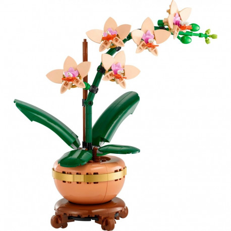 "LEGO Botanicals Mini-Orchidee 10343"