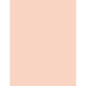 BOURJOIS Paris Healthy Mix Clean & Vegan Glow Tint Essence (30ml) (01 Fair)