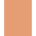 BOURJOIS Paris Healthy Mix Clean & Vegan Glow Tint Essence (30ml) (03 Light Medium)