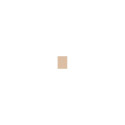 Clinique Even Better Make-Up SPF15 (30ml)