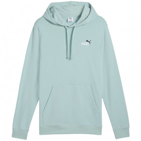 Puma meeste pusa Ess 2 Color Small No.1 Logo Hoodie TR 684719 67 S, münt