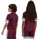 Koszulka dla dzieci adidas Squadra 25 bordowa JC8667 140cm