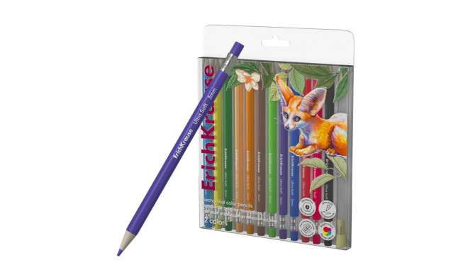 Hexagonical mechanical color pencils ErichKrause Safari 12 colors, 3 mm lead (in PET box with hanger