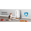 Molly & Cody LUCKY Futterspender für Tiere