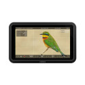 Atomos Shinobi II Monitor