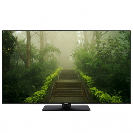 Panasonic TB-43W60AEZ must