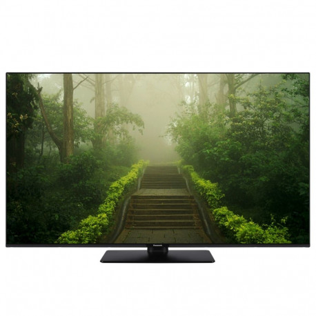 Panasonic TB-55W60AEZ must