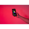 Zhiyun Molus X60 RGB Combo
