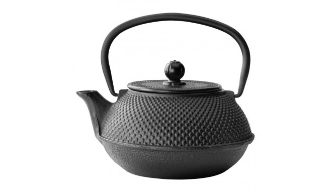 Bredemeijer Teapot Jang 0,8l cast iron black + Filter G001Z