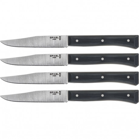 Opinel Facette lauanoanoade komplekt 4 tk kiltkivi