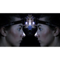 Brennenstuhl LuxPremium LED Headlamp KL100 IP44
