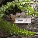 Intenso Green Line 32GB USB mälupulk 3.2 Gen 1