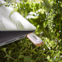 Intenso Green Line 64GB USB Mälupulk 3.2 Gen 1