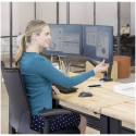 Fellowes Platinum Series Kahe Monitori Hoidik Must