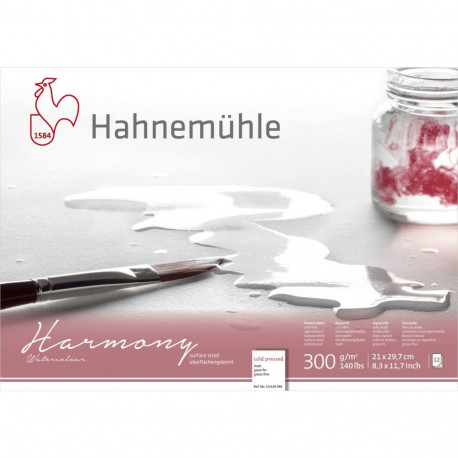 Hahnemühle Harmony akvarellipaber külmpressitud 12 lehte 300 g A4