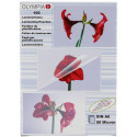 1x100 Olympia Lamineerimiskiled DIN A6 80 mikronit 9168
