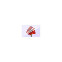 1x100 Olympia lamineerimiskile DIN A5 80 mikronit