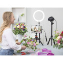 Hama Video Salvestuspulk USB-pistik - HDMI-pesa 4K