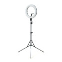 Ikan HomeStream Teleprompter Kit