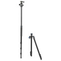Cullmann Rondo 480M RB8.5