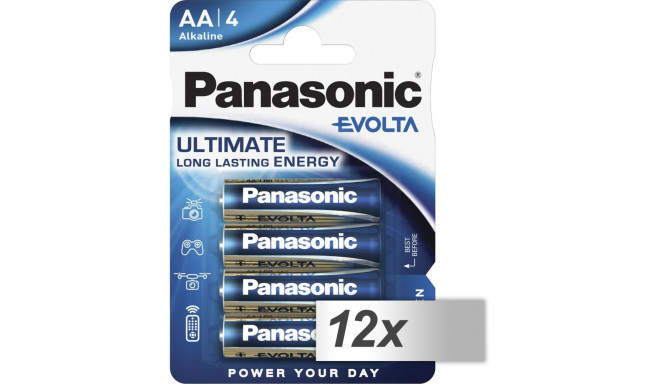 12x4 Panasonic Evolta LR 6 Mignon sisemine karp