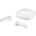 TimeKettle WT2 Edge offline portable translation device