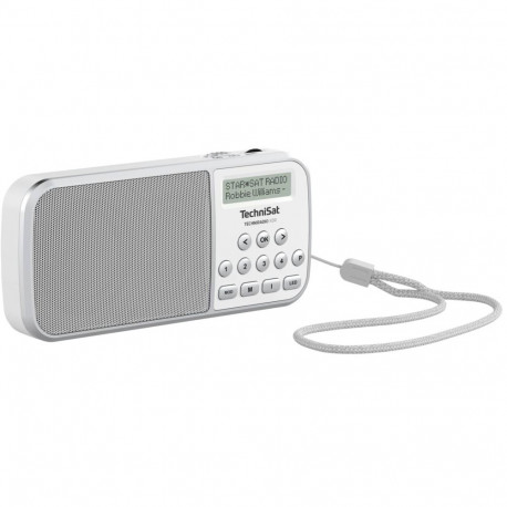 Technisat TechniRadio RDR valge