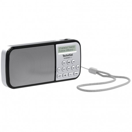 Technisat TechniRadio RDR hõbedane raadio