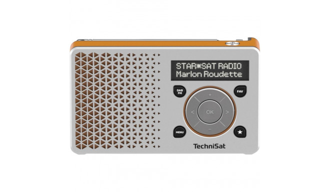 Technisat DigitRadio 1 hõbedane/oranž