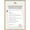 Walther New Lifestyle 21x29,7 vaik kuld DIN A4 KV130G