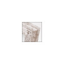 ZEP Nelson 6 18x24 Puidust Raam valge/pruun V21186