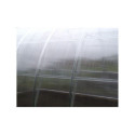 Greenhouse multiwall sheet / clear polycarbonate 2100x6000mm - 6mm, 5pcs.