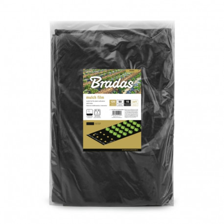 Mulch film with holes, 1,2m x 50m, 15 mic.